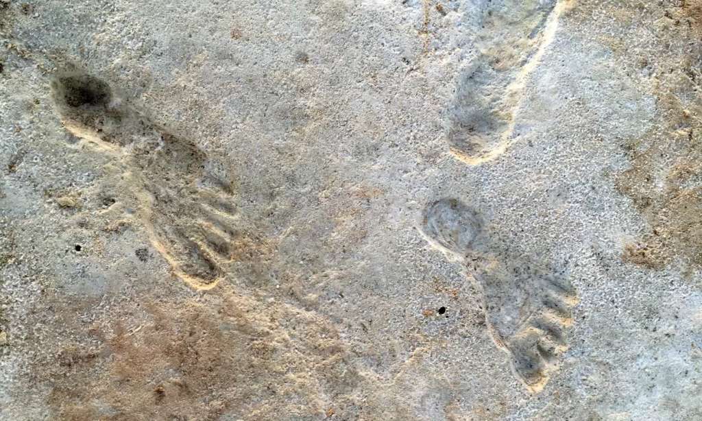 Para la nueva investigación se utilizaron dos materiales diferentes que se encontraron en White Sands: granos de cuarzo y polen de coníferas (unas plantas) antiguas.