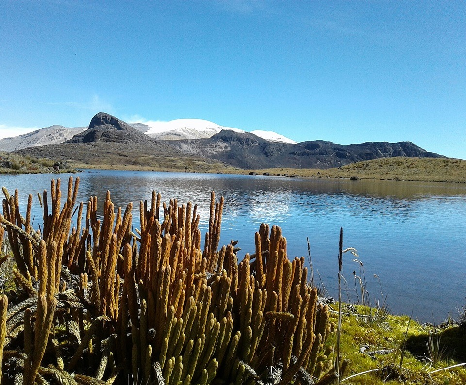 Parque Nacional Natural Los Nevados.