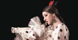 El flamenco como un grito de libertad
