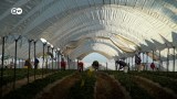 “El riesgo después del Covid-19 es volver a los hábitos de consumo desenfrenados”