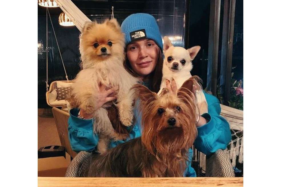 Estas son algunas de las mascotas de la actriz Lina Tejeiro.