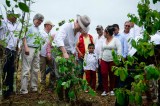 El 89% de las familias que ya erradicaron sus cultivos de coca no tienen asistencia técnica