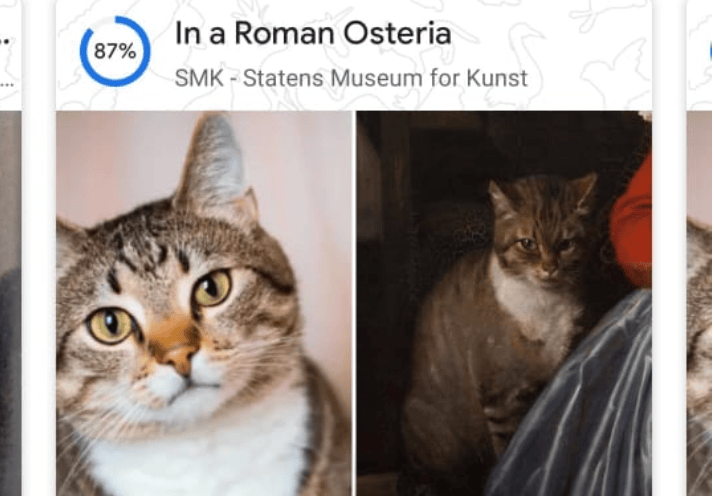 Así funciona la aplicación que le dice la obra de arte a la que se parece su felino.