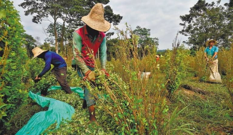 Inventario de las necesidades apremiantes del Catatumbo