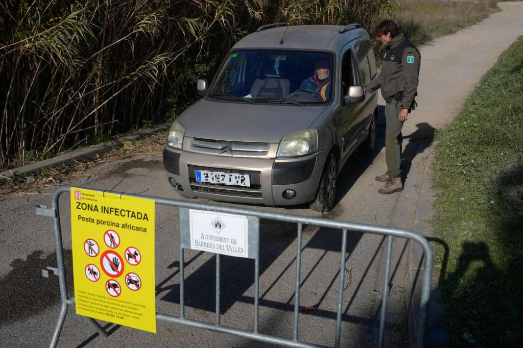 GRAFCAT5457. BARCELONA (ESPAÑA), 05/12/2025.-Agentes Rurales refuerzan la señalización en los espacios naturales para contener la peste porcina africana, este viernes en que la Generalitat ha ampliado la prohibición de acceder al medio natural en los 91 municipios integrados en la zona de riesgo de peste porcina, donde los establecimientos comerciales como restaurantes y centros deportivos deberán tener un sistema de desinfección de vehículos.EFE/ Enric Fontcuberta ***POOL***
