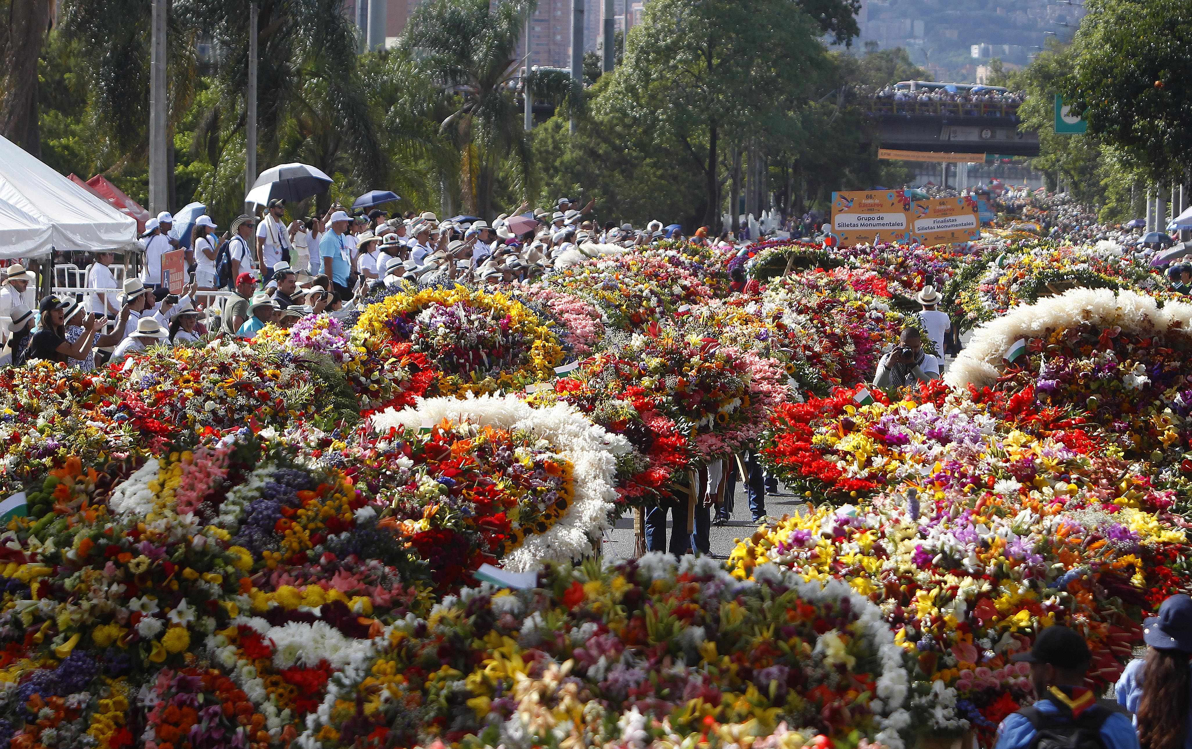 AME8850. MEDELLÍN (COLOMBIA), 07/08/2023.- Silleteros participan en la edición 66 del Desfile de Silleteros de la Feria de las Flores hoy, en Medellín (Colombia). Más de medio centenar de silleteros salieron este lunes de sus pintorescas fincas en el caserío de Santa Elena, donde nació hace 66 años esta tradición, para desfilar sus majestuoso arreglos florales y convertir a Medellín en un jardín como gran cierre de la Feria de las Flores. EFE/ Luis Eduardo Noriega A.