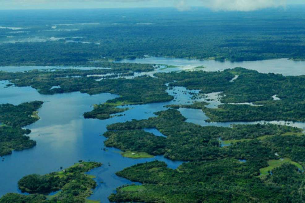 Neil Palmer/CIAT for Center for International Forestry Research (CIFOR).