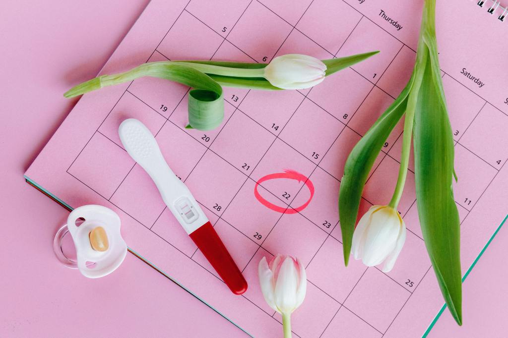 Ciclo menstrual