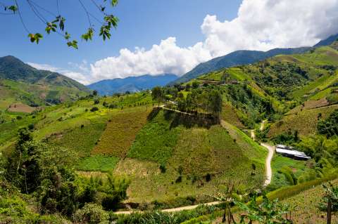 ¿Se construirá una hidroeléctrica en el Cañón del Micay? Esto dijo el Gobierno