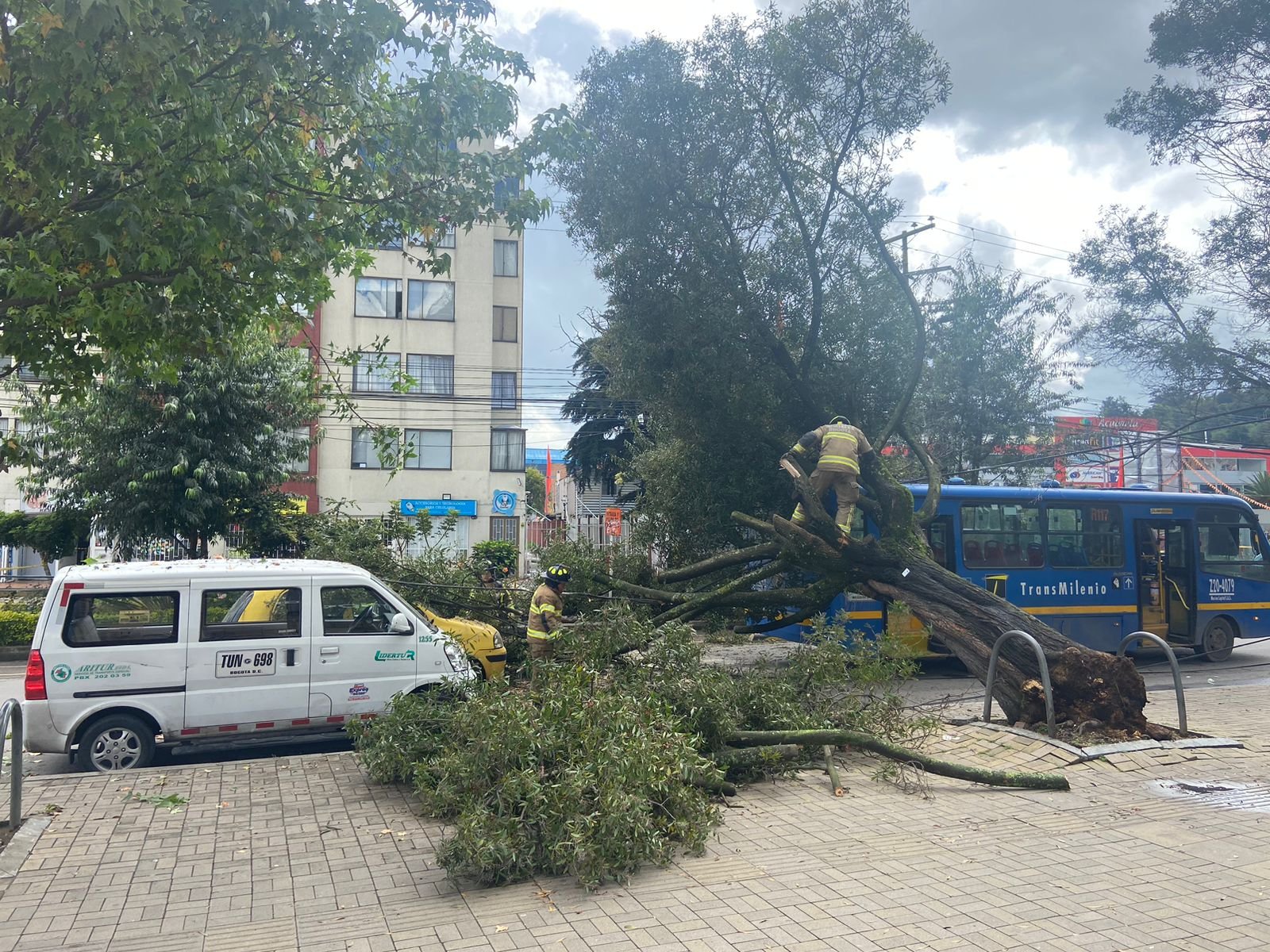 Bomberos lidian a esta hora con el árbol en la localidad de Suba. Afectaciones en la movilidad.