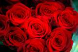 ¿Por qué se regalan rosas y libros este 23 de abril?