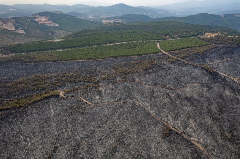 Así quedó Turquía tras los incendios que destrozaron más de 50.000 hectáreas
