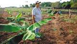 Formalización de tierras, un camino contra la siembra de coca