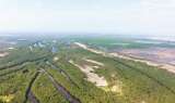 El plan para recuperar la Ciénaga Grande de Santa Marta