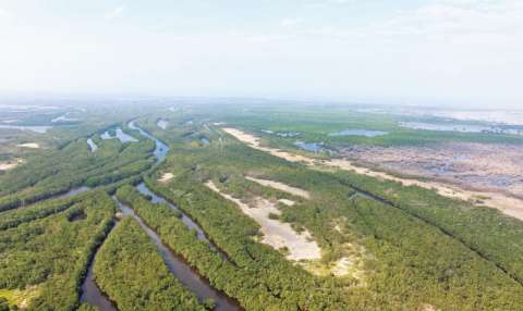 La petición para proteger la Ciénaga Grande de Santa Marta que estudia un Tribunal