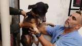 Hacinados, enfermos y abandonados: así fueron hallados 17 animales en Risaralda