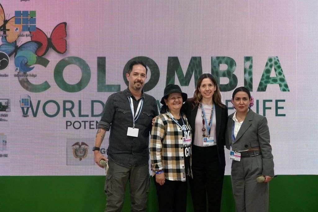 La hoja de ruta se lanzó durante la COP27.