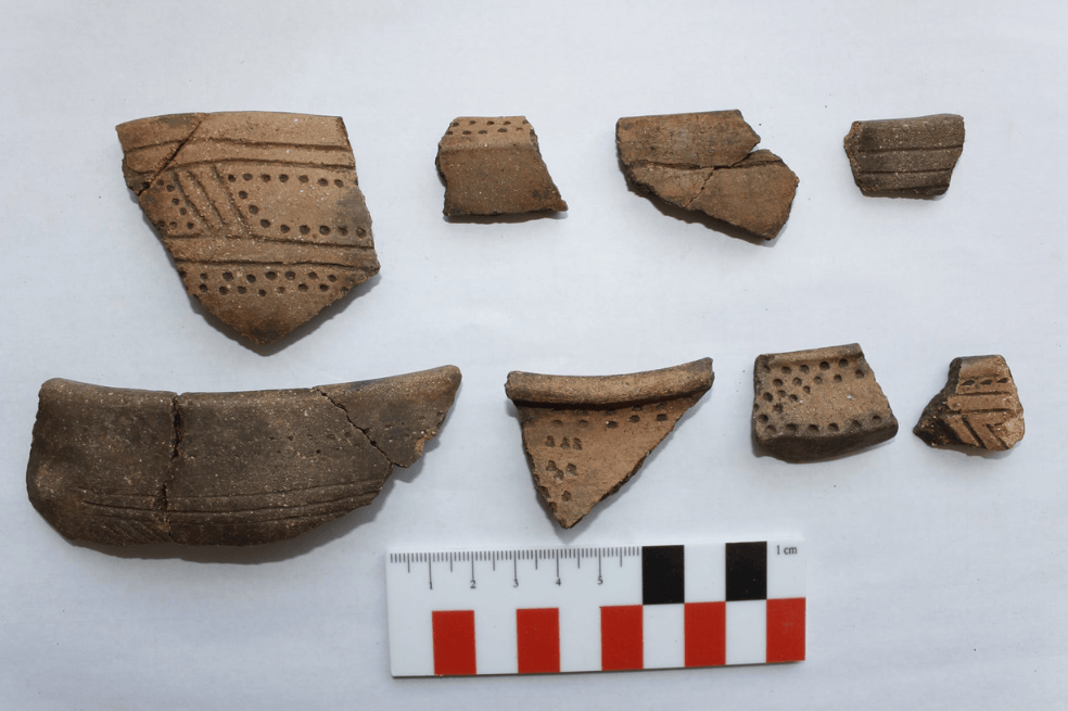 Son cerca de 20.000 piezas entre las que se destacan fragmentos de cerámica, fragmentos líticos, muestras de suelo, restos óseos de mamíferos y aves y algunos pocos de humanos.