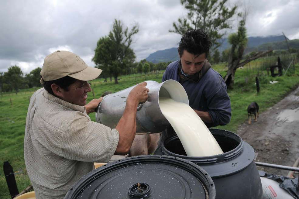 El sector lechero ha sido uno de los más temerosos frente al acuerdo con la Unión Europea. / Archivo - El Espectador