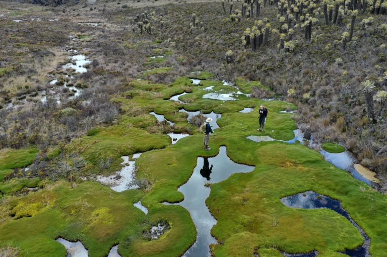 Científicos investigan por qué una turbera de Perú dejó de captar carbono
