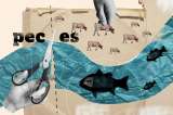 Las amenazas que rodean a los emblemáticos peces del Magdalena