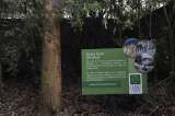 Aunque Planeación rectificó, el caso Cerro Verde aún no se resuelve