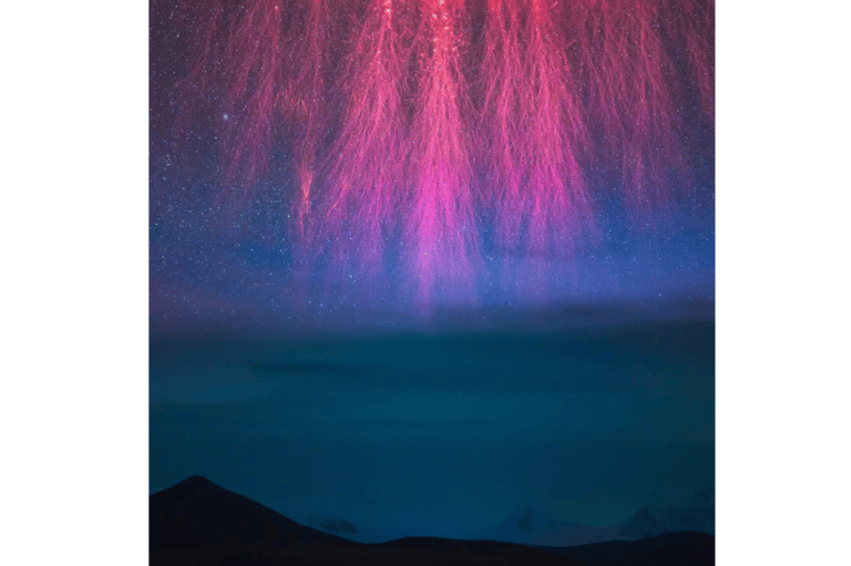 "No se trata, como podría parecer a primera vista, de un enorme extraterrestre, sino de los zarcillos inferiores de un sprite (rayo rojo). Esta descarga eléctrica rara vez vista se produce mucho más arriba en la atmósfera que los relámpagos normales (y de hecho, a pesar del nombre, se crea por un mecanismo diferente), dando a la imagen un sentido de escala intrigantemente engañoso. Aunque el degradado de colores es bello por sí mismo, la imagen también capta de forma impresionante la delicada estructura del plasma. Nos encanta que el fotógrafo no capte toda la estructura, que se extiende mucho más allá de la parte superior del encuadre. Crea una imagen inquietante y alienígena que no puede evitar atraer la mirada", dijo el juez Bloomer.
