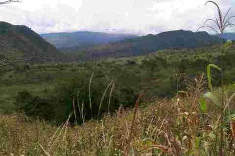 Fiscalía ocupó 18 mil hectáreas de Farc en Caquetá