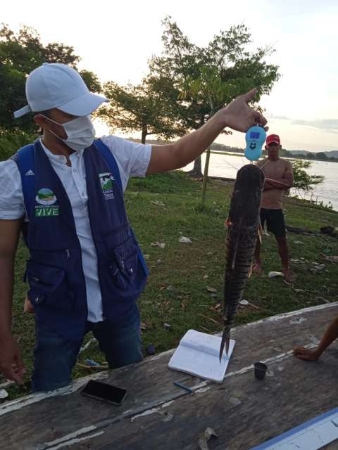 MiPez: monitoreo comunitario de la salud del río Magdalena