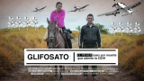“Glifosato: el primer caso por muerte que admite la CIDH”, mejor reportaje en video en el premio de Periodismo Simón Bolívar