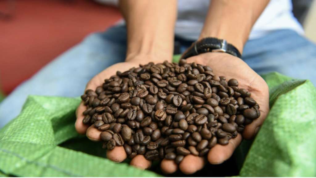 Vietnam promueve su café robusta