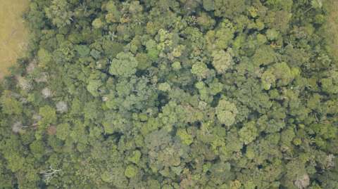 Diálogo con la Amazonía: una apuesta necesaria para salvar el planeta