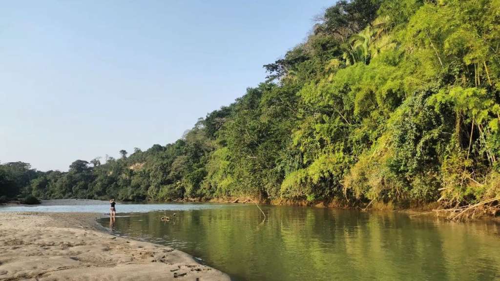 Con tres años de creación, ha descubierto nuevas especies y promueve la creación de reservas naturales en zonas fragmentadas, preservando ecosistemas crudos.