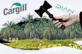 Multinacional Cargill demandó a Colombia y pide tumbar millonaria multa