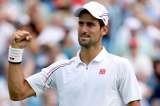 Djokovic tumba a Del Potro en semifinal de Cincinnati