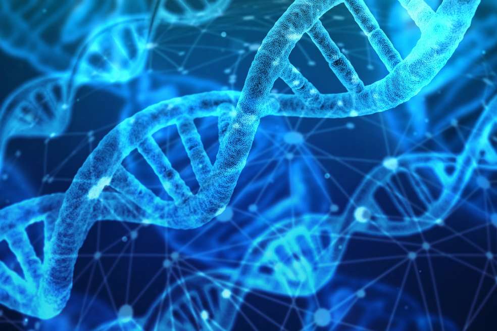 La polémica surgió cuando el investigador chino He Jiankui anunció el nacimiento de dos niñas gemelas cuyo ADN fue modificado. / Pixabay