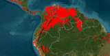 Algunas claves para entender qué es lo que muestra el mapa de la Nasa sobre Colombia