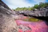 Caño Cristales, uno de los ríos más hermosos del mundo