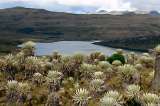 Parque Sumapaz no está habilitado para ecoturismo, advierte Parques Nacionales