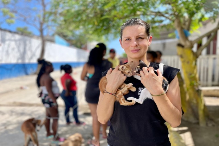 ABC del “Plan para cambiar la dura realidad de los animales en Colombia”