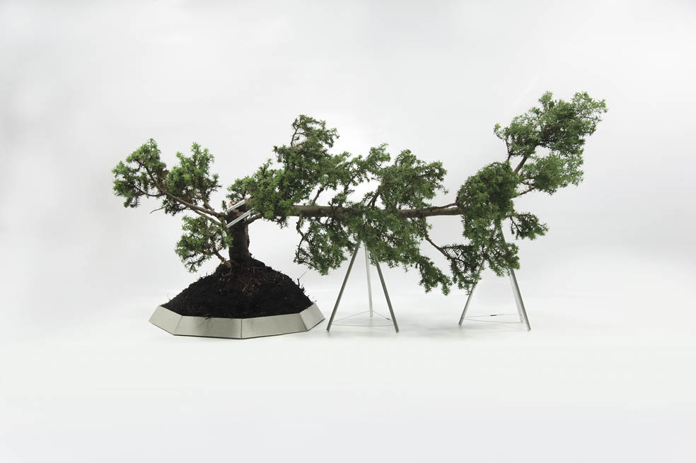‘Naturaleza rehabilitada’, de Edwin Monsalve. / Fotos: Cortesía Galería El Museo