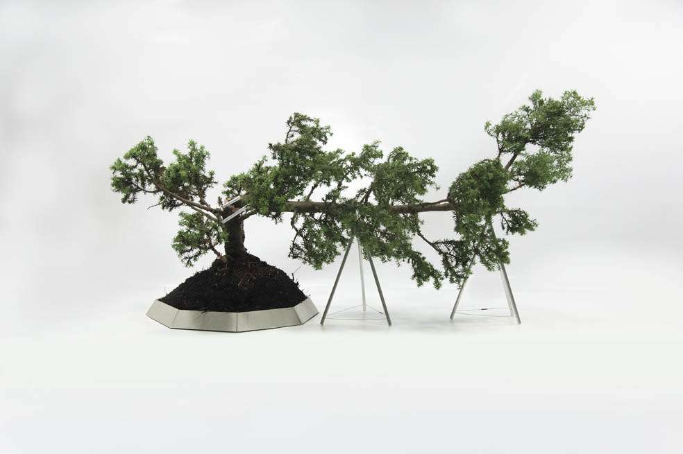 ‘Naturaleza rehabilitada’, de Edwin Monsalve. / Fotos: Cortesía Galería El Museo