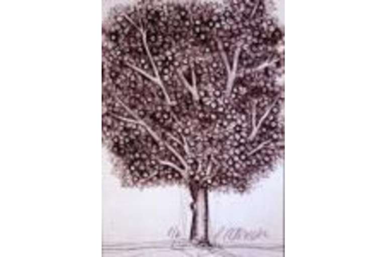 Árbol (1988).