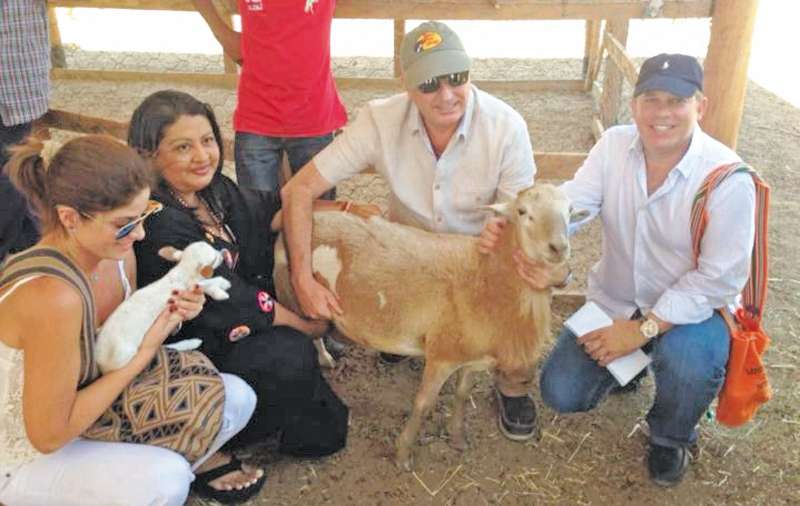 El ministro de Agricultura, Aurelio Iragorri, toma uno de los corderos que produce su amigo Luis Fernando Echeverry, en la hacienda La Veguita (La Guajira).