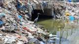 Estudio revela que residuos de alimentos y bebidas lideran la contaminación marina global