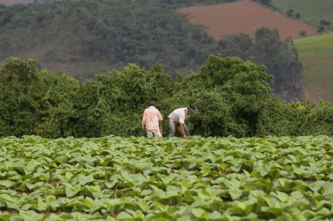 Banco Agrario niega que productores morosos estén por perder sus tierras