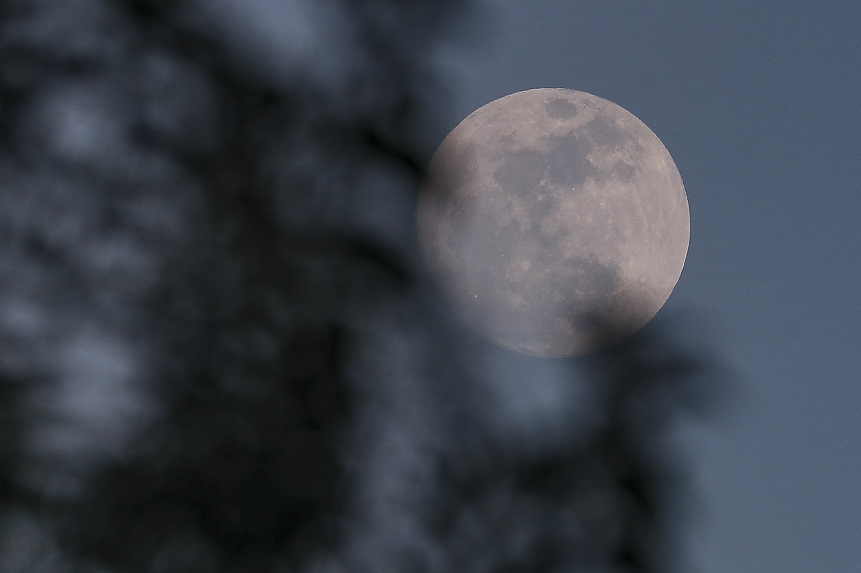 AME5205. QUITO (ECUADOR), 29/08/2023.- Fotografía de la luna azul hoy, desde Quito (Ecuador). EFE/ José Jácome