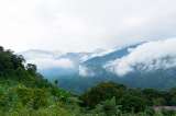 Crisis de gobernabilidad en la Sierra Nevada y el Tayrona