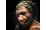Los neandertales practicaron cuidados médicos guiados por la compasión