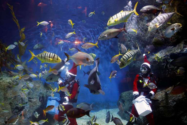 Bangkok (Thailand), 18/12/2025.- Thai divers dressed as Santa Claus feed fishes during an underwater feeding special event to celebrate Christmas at Sea Life Bangkok aquarium in Bangkok, Thailand, 18 December 2025. The Santa Dive underwater feeding sharks and rays performance is held to celebrate Christmas and attract tourists, and it will run until 25 December 2025. (Tailandia) EFE/EPA/RUNGROJ YONGRIT